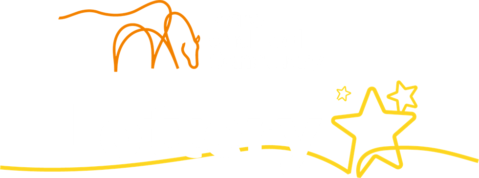 Mare and Foal Sanctuary Logo